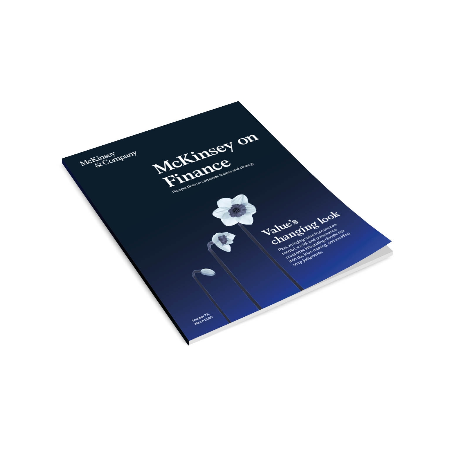 McKinsey on Finance, Number 73 | Strategy & Corporate Finance